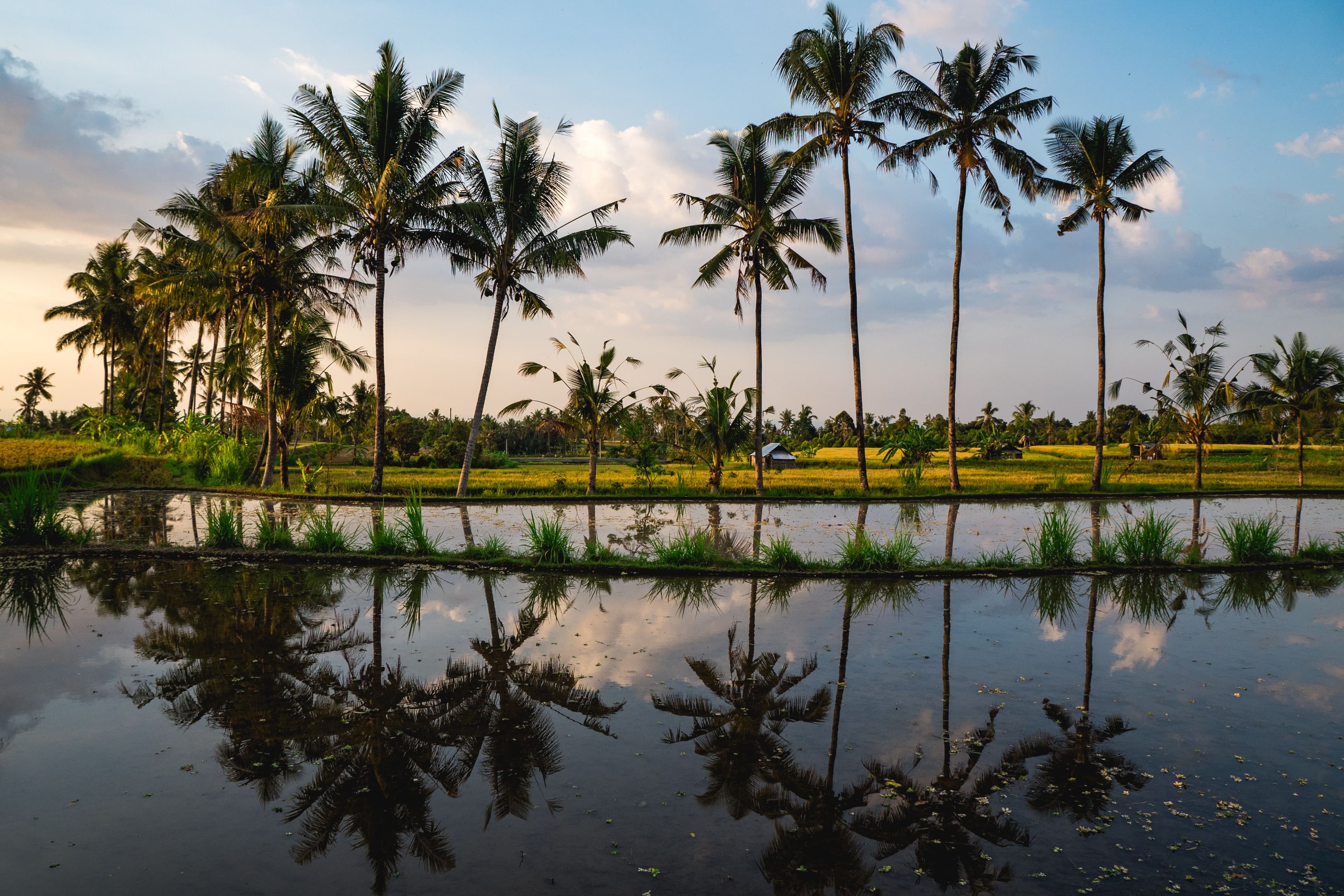 Bali — image 1