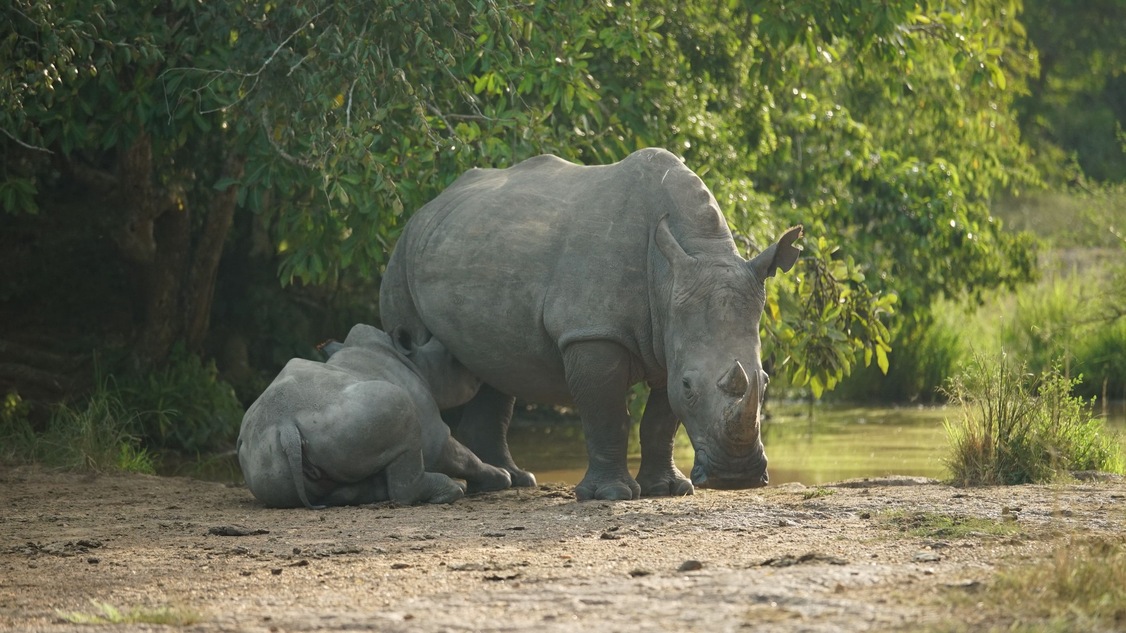 Ouganda — image 1