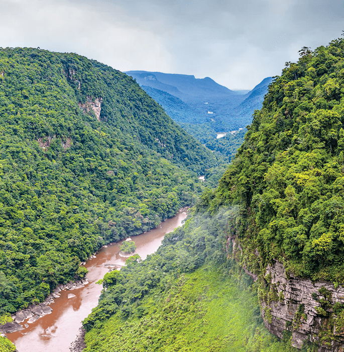 Guyane — image 2