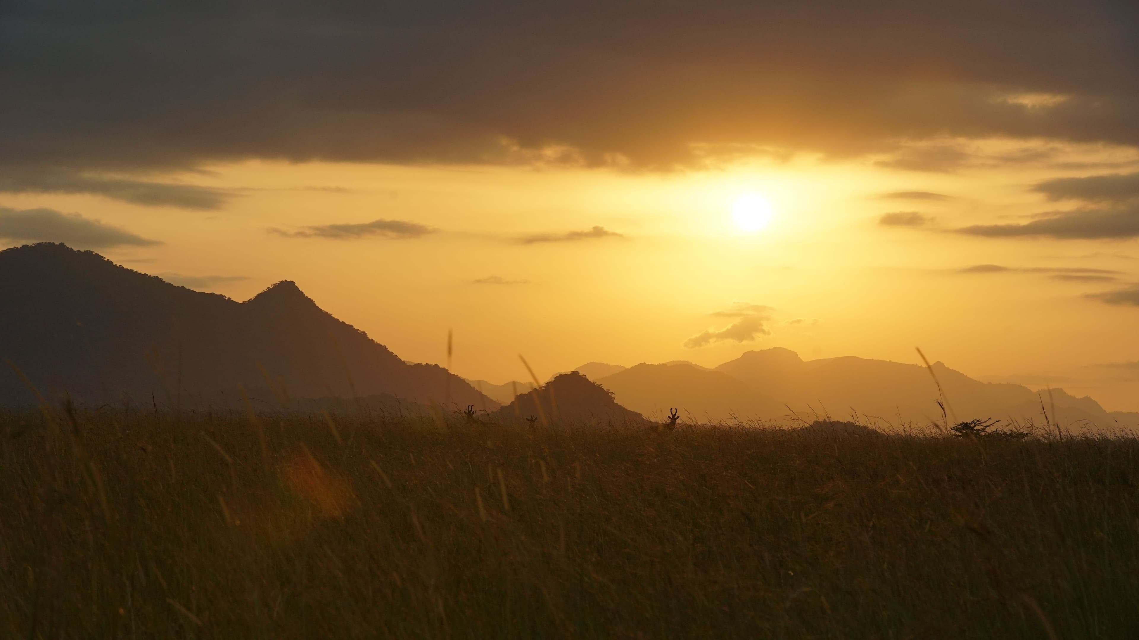 Ouganda — image 3